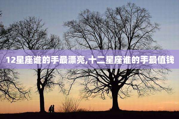 12星座谁的手最漂亮,十二星座谁的手最值钱