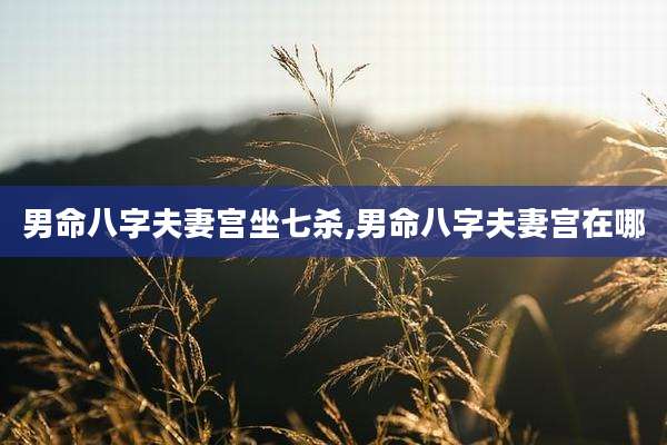 男命八字夫妻宫坐七杀,男命八字夫妻宫在哪