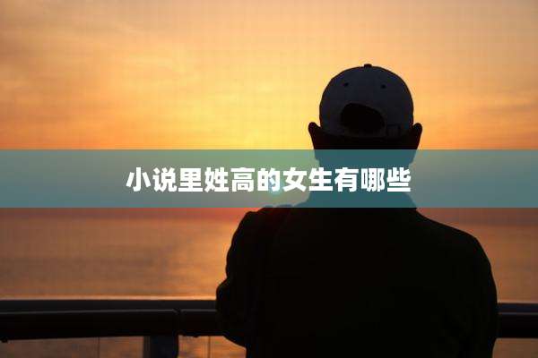 小说里姓高的女生有哪些