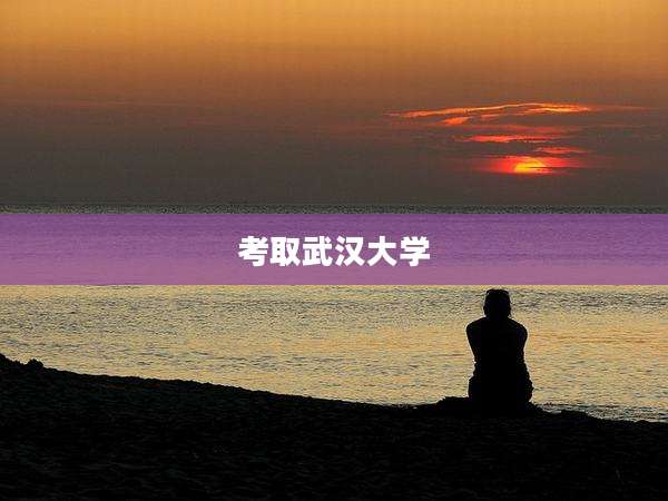 考取武汉大学