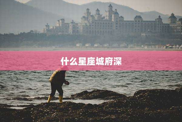 什么星座城府深
