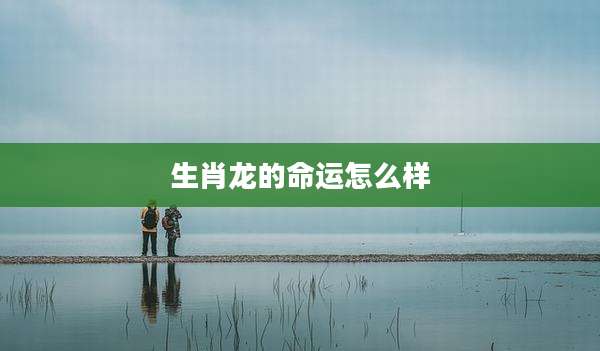 生肖龙的命运怎么样