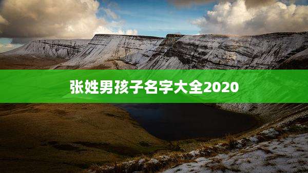 张姓男孩子名字大全2020