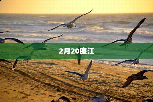2月20廉江