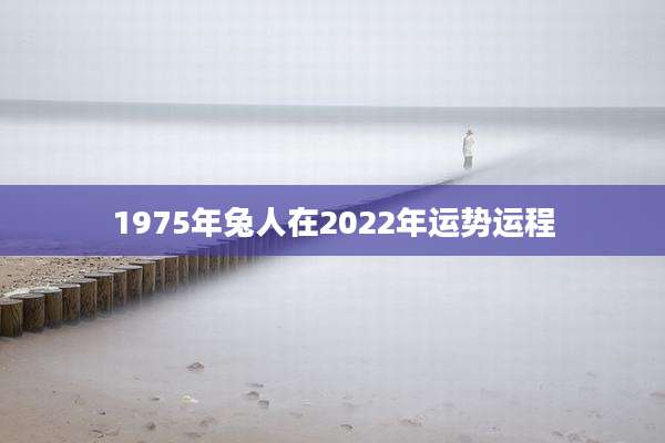 1975年兔人在2022年运势运程