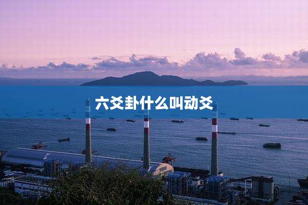 六爻卦什么叫动爻