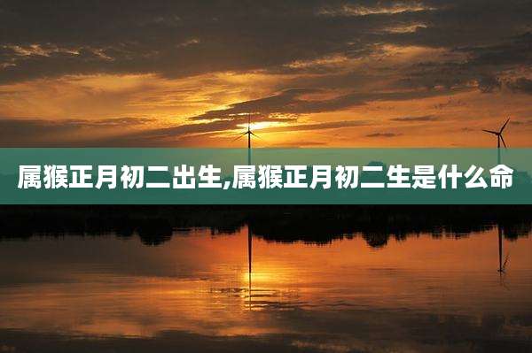 属猴正月初二出生,属猴正月初二生是什么命