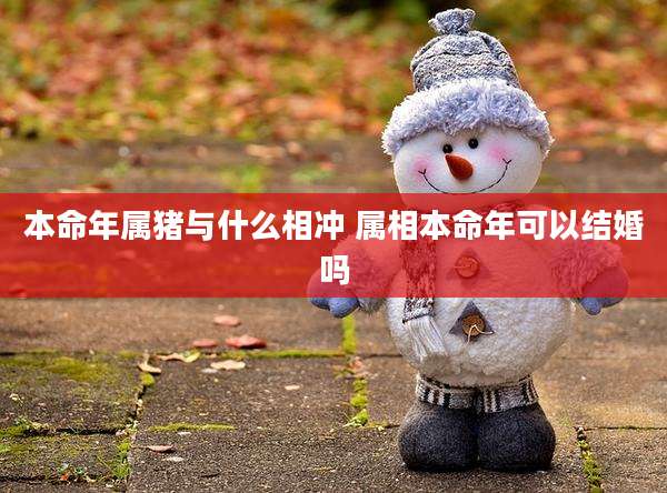 本命年属猪与什么相冲 属相本命年可以结婚吗