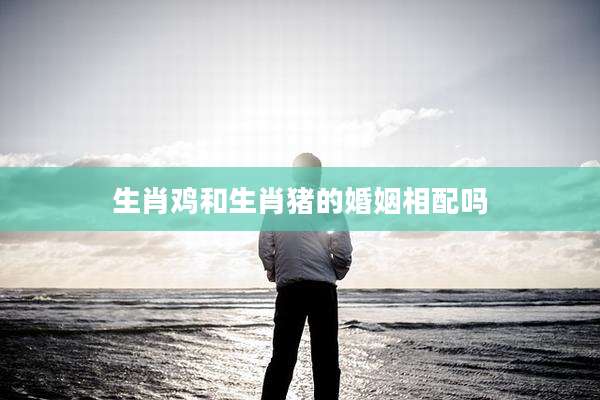 生肖鸡和生肖猪的婚姻相配吗