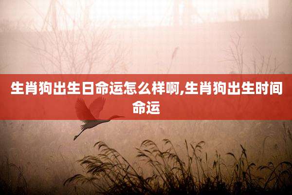 生肖狗出生日命运怎么样啊,生肖狗出生时间命运