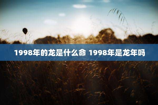 1998年的龙是什么命 1998年是龙年吗