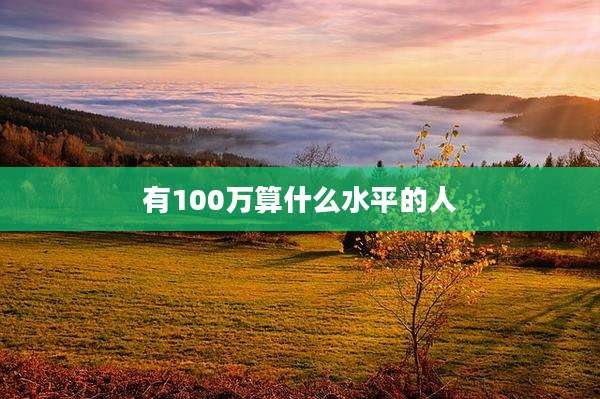 有100万算什么水平的人