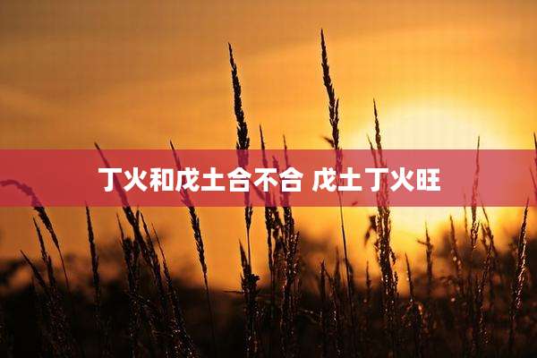 丁火和戊土合不合 戊土丁火旺