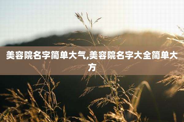 美容院名字简单大气,美容院名字大全简单大方