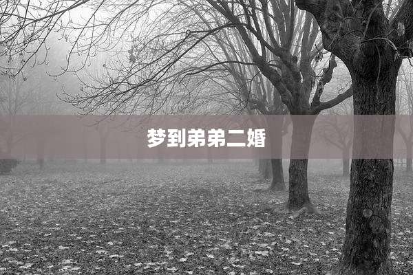 梦到弟弟二婚