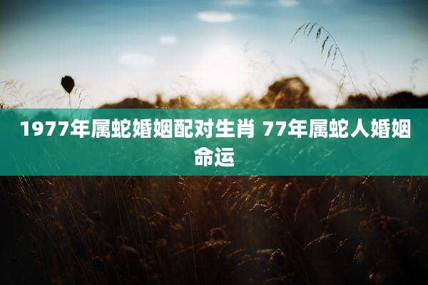 1977年属蛇婚姻配对生肖 77年属蛇人婚姻命运