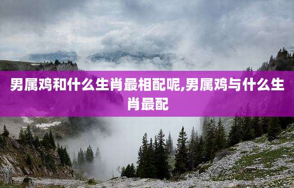 男属鸡和什么生肖最相配呢,男属鸡与什么生肖最配