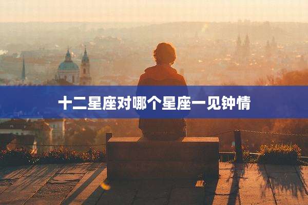 十二星座对哪个星座一见钟情