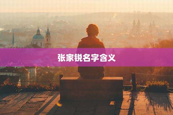 张家锐名字含义