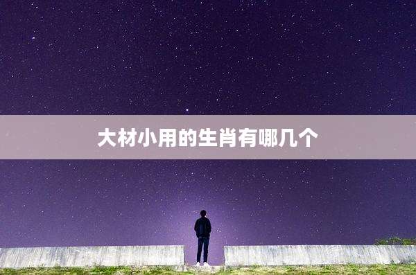 大材小用的生肖有哪几个