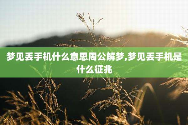 梦见丢手机什么意思周公解梦,梦见丢手机是什么征兆