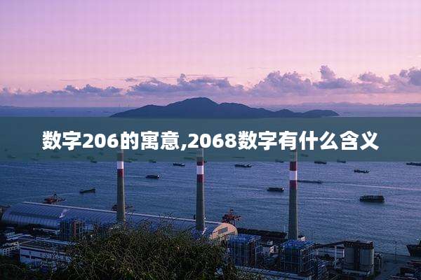 数字206的寓意,2068数字有什么含义