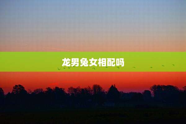 龙男兔女相配吗