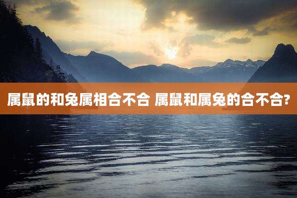 属鼠的和兔属相合不合 属鼠和属兔的合不合?