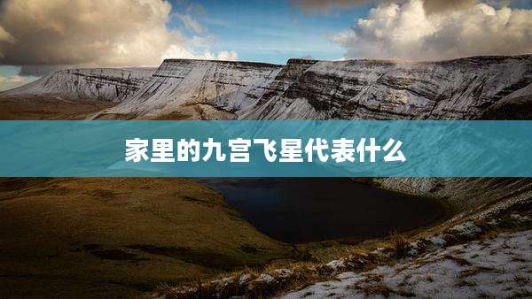 家里的九宫飞星代表什么