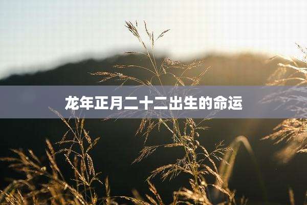 龙年正月二十二出生的命运