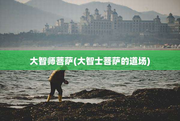大智师菩萨(大智士菩萨的道场)