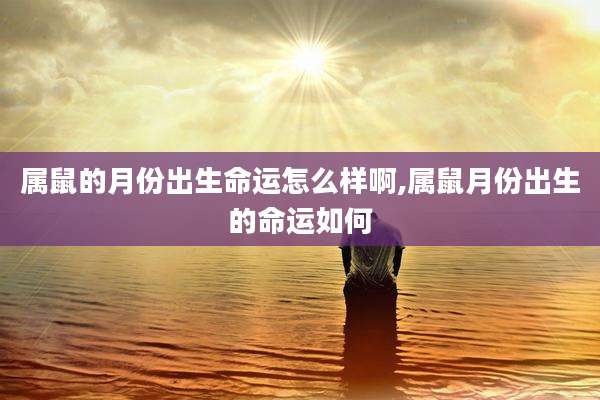 属鼠的月份出生命运怎么样啊,属鼠月份出生的命运如何