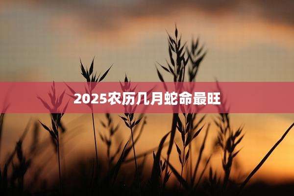 2025农历几月蛇命最旺