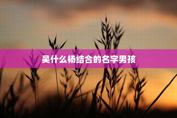 吴什么杨结合的名字男孩
