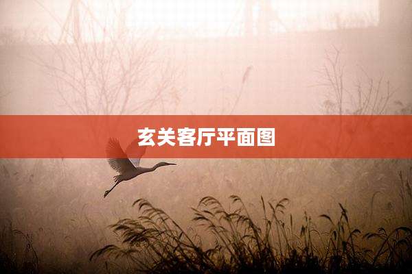 玄关客厅平面图