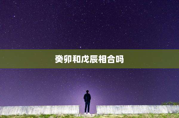 癸卯和戊辰相合吗
