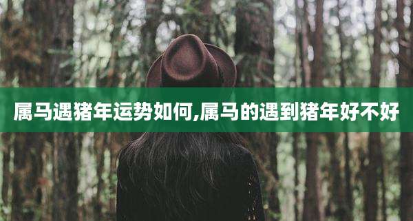 属马遇猪年运势如何,属马的遇到猪年好不好
