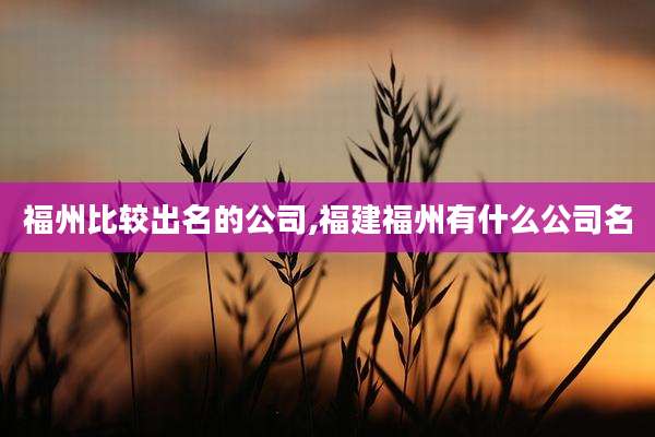 福州比较出名的公司,福建福州有什么公司名