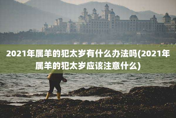 2021年属羊的犯太岁有什么办法吗(2021年属羊的犯太岁应该注意什么)