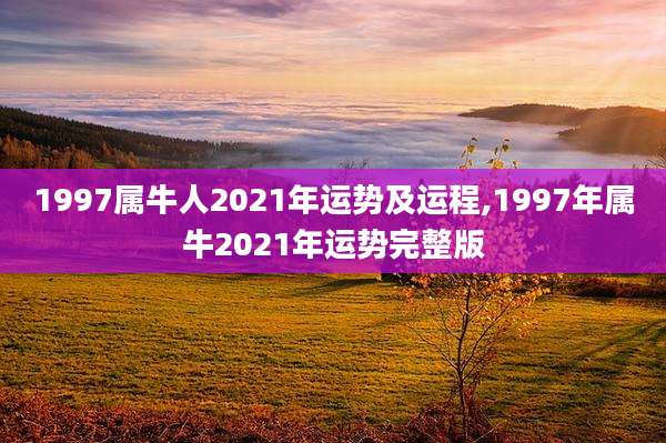 1997属牛人2021年运势及运程,1997年属牛2021年运势完整版
