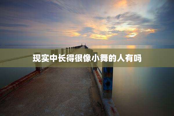 现实中长得很像小舞的人有吗