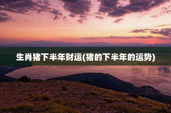 生肖猪下半年财运(猪的下半年的运势)