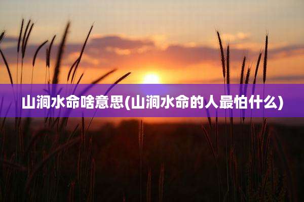 山涧水命啥意思(山涧水命的人最怕什么)