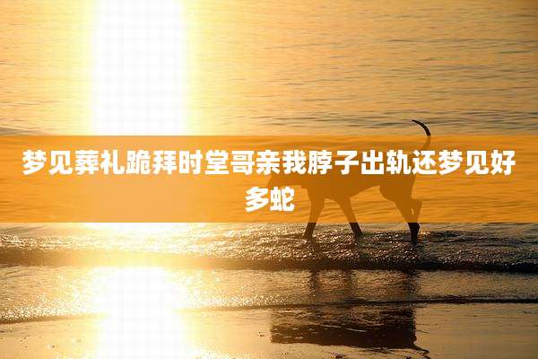 梦见葬礼跪拜时堂哥亲我脖子出轨还梦见好多蛇
