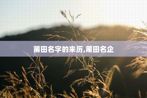 莆田名字的来历,莆田名企