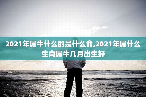2021年属牛什么的是什么命,2021年属什么生肖属牛几月出生好