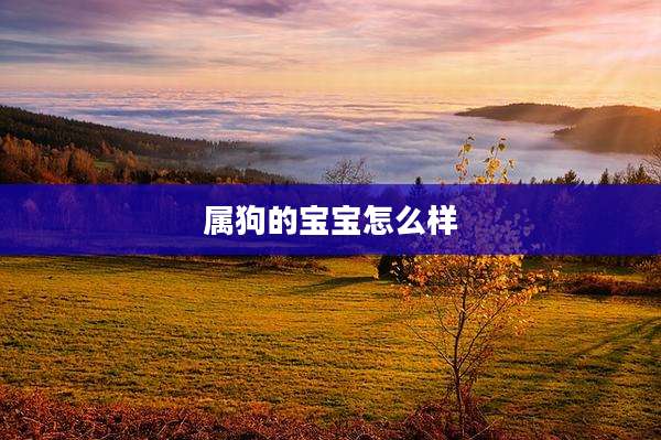 属狗的宝宝怎么样