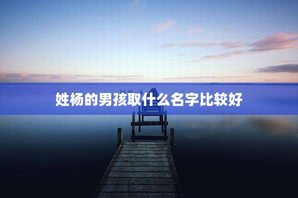 姓杨的男孩取什么名字比较好