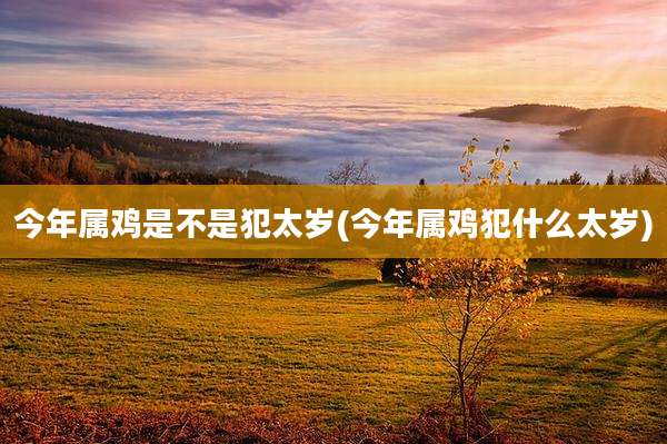 今年属鸡是不是犯太岁(今年属鸡犯什么太岁)