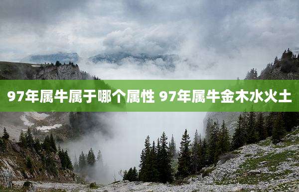 97年属牛属于哪个属性 97年属牛金木水火土